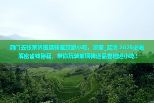 荆门去张家界玻璃栈道旅游小吃