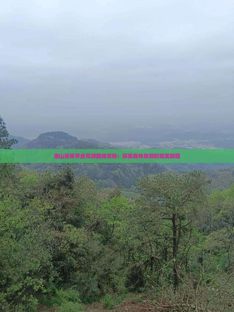 唐山到张家界森林公园自由行