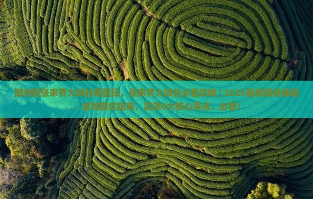 随州到张家界大峡谷哪里玩