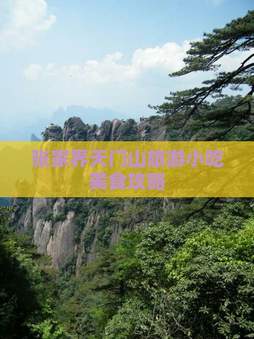 阿克苏去张家界天门山旅游小吃
