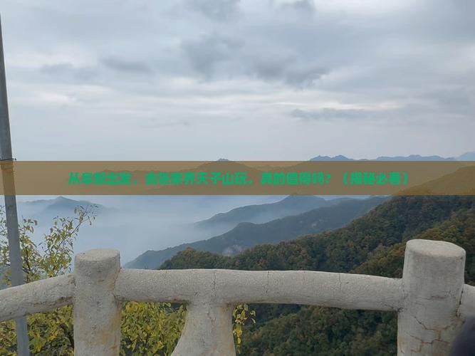 阜新到张家界天子山团体旅游