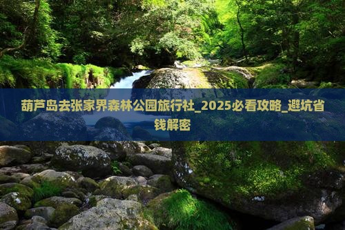 葫芦岛去张家界森林公园旅行社