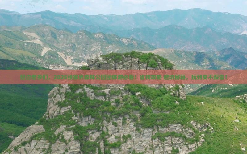 延边去张家界森林公园团体旅游