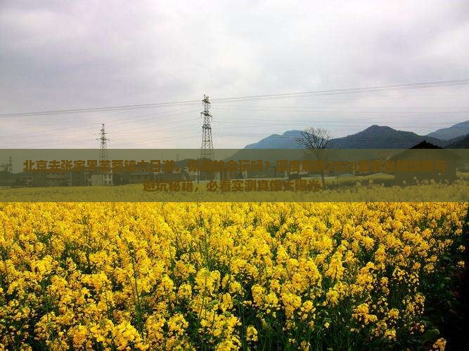北京去张家界芙蓉镇六日游