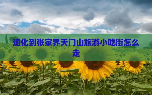 通化到张家界天门山旅游小吃