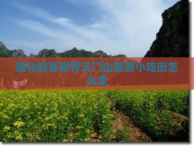 通化到张家界天门山旅游小吃