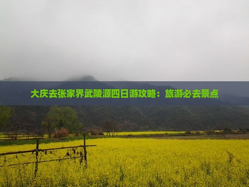 大庆去张家界武陵源四日游
