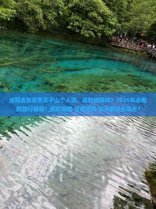 洛阳去张家界天子山个人游