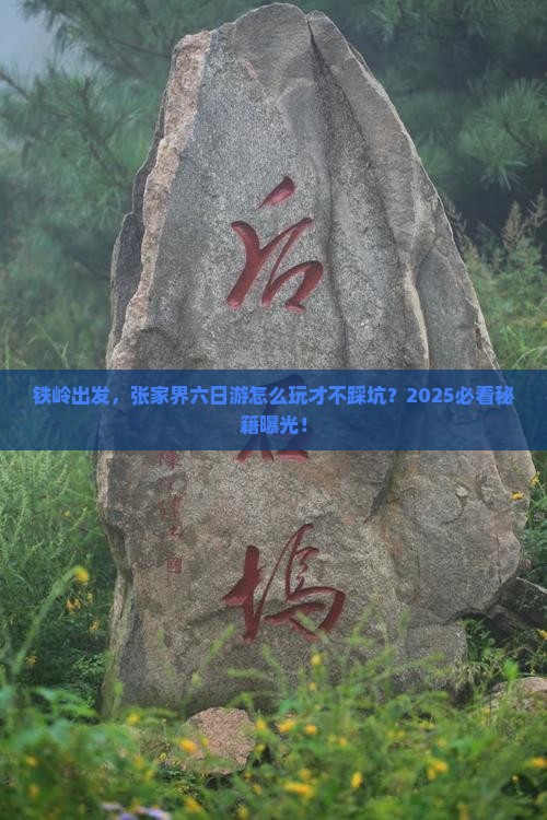 铁岭到张家界六日游