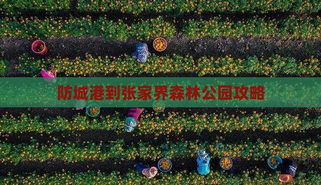 防城港到张家界森林公园攻略