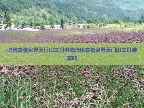 临沧去张家界天门山三日游