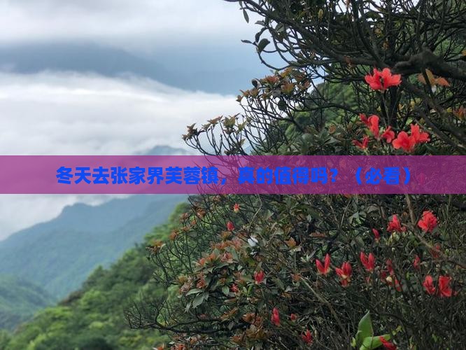 冬天到张家界芙蓉镇个人游