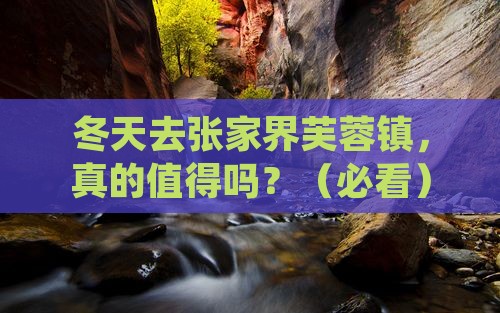 冬天到张家界芙蓉镇个人游