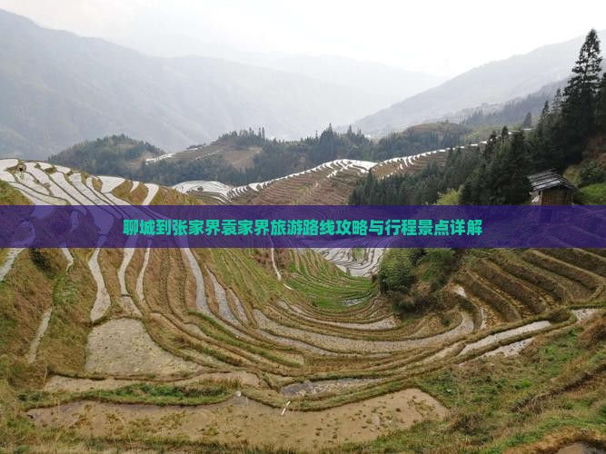 聊城到张家界袁家界旅游