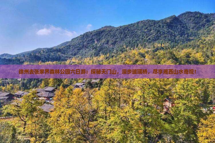 徐州去张家界森林公园六日游
