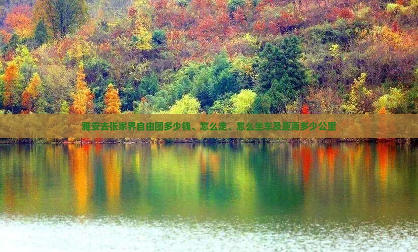 雅安去张家界自由团