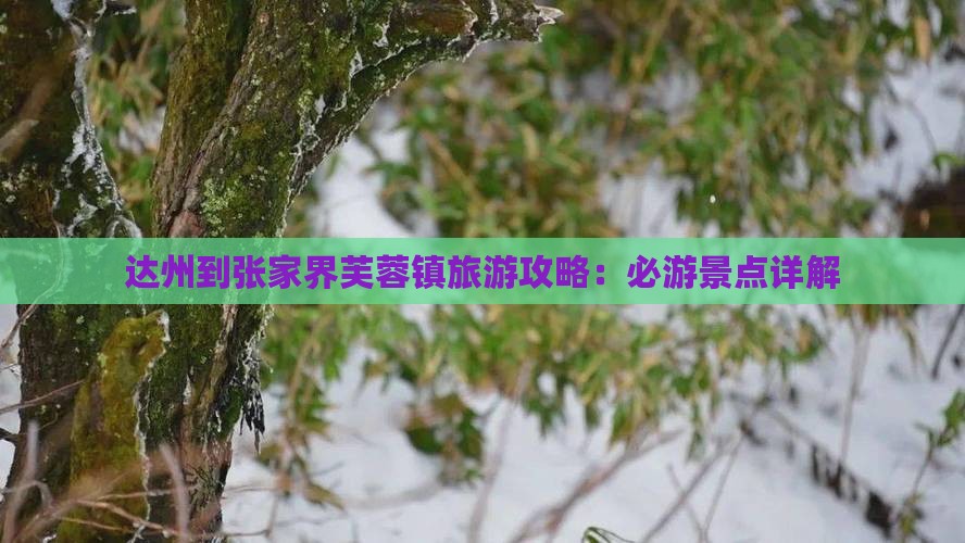 达州到张家界芙蓉镇一日