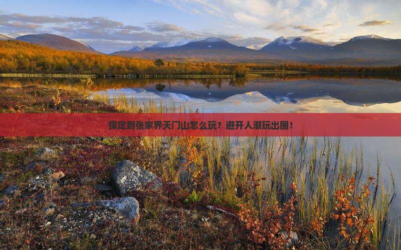 保定到张家界天门山哪里玩
