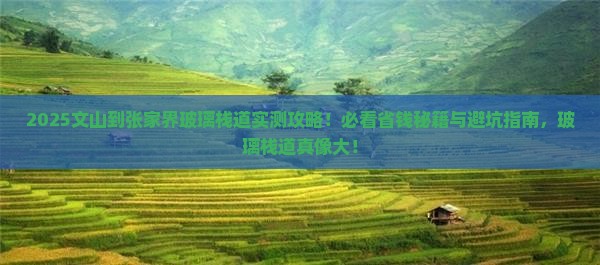 文山到张家界玻璃栈道大型旅游团