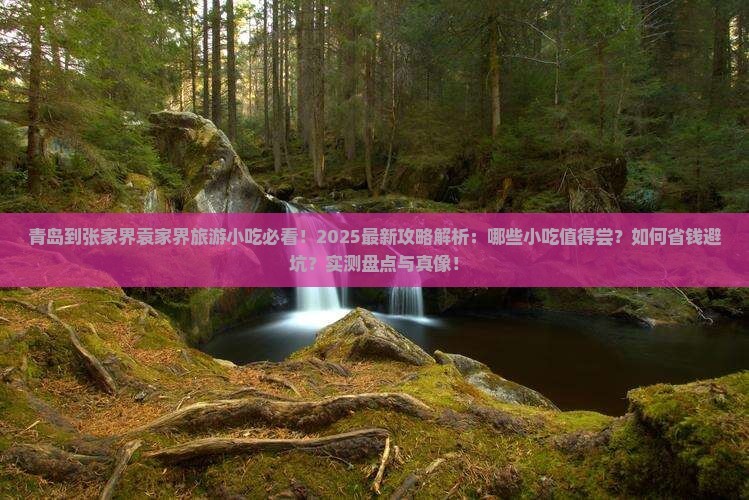 青岛到张家界袁家界旅游小吃