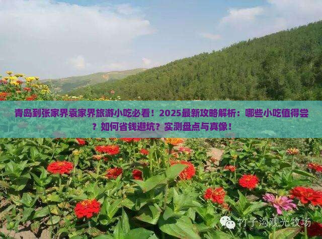青岛到张家界袁家界旅游小吃