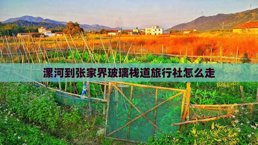 漯河到张家界玻璃栈道旅行社