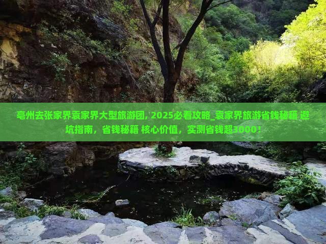 亳州去张家界袁家界大型旅游团