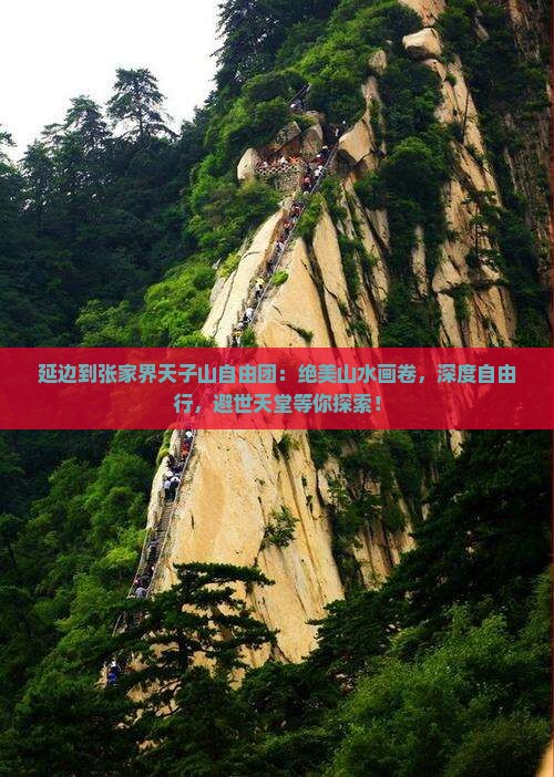 延边到张家界天子山自由团