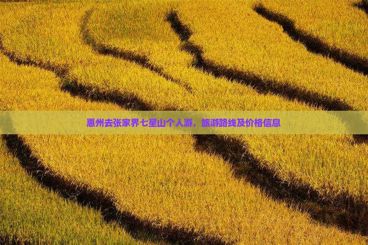 惠州去张家界七星山个人游