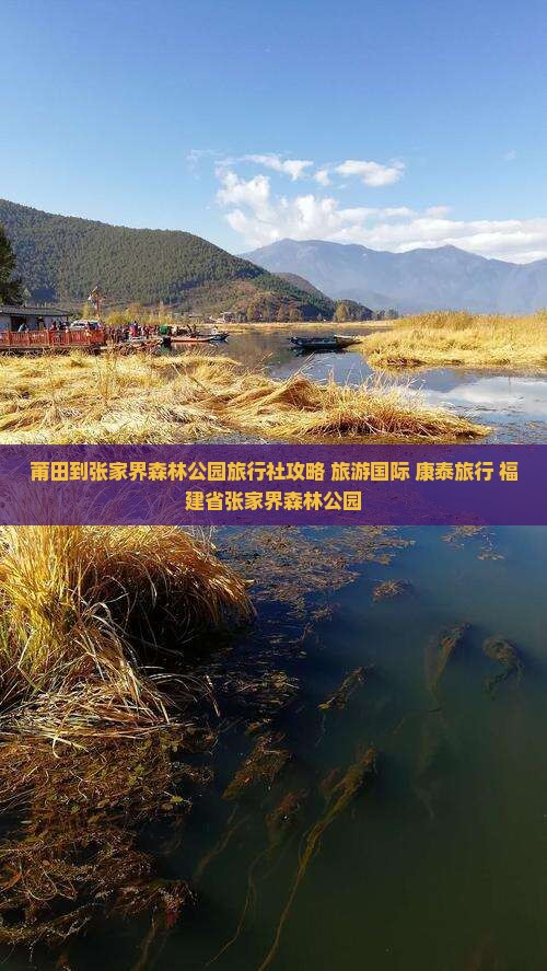 莆田到张家界森林公园旅行社
