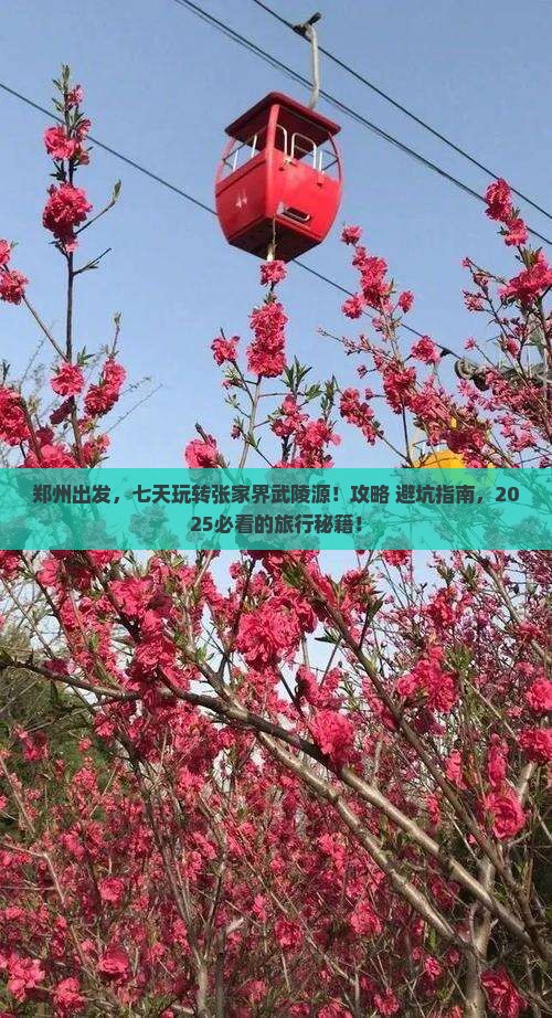 郑州到张家界武陵源七日游