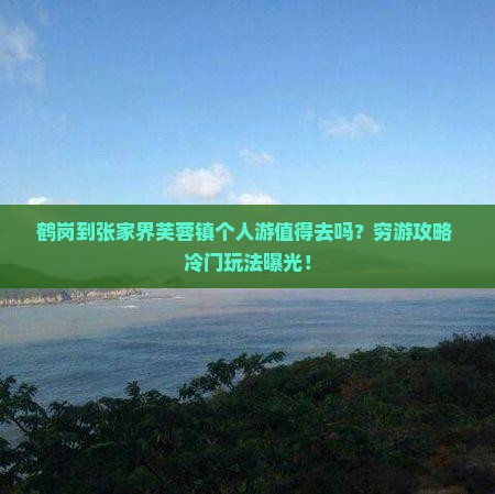 鹤岗到张家界芙蓉镇个人游