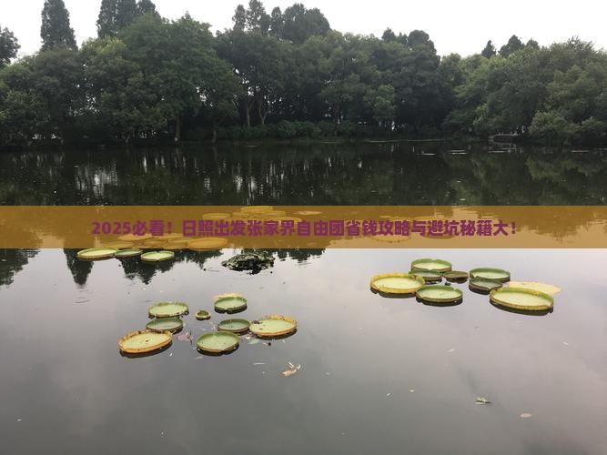 日照去张家界自由团