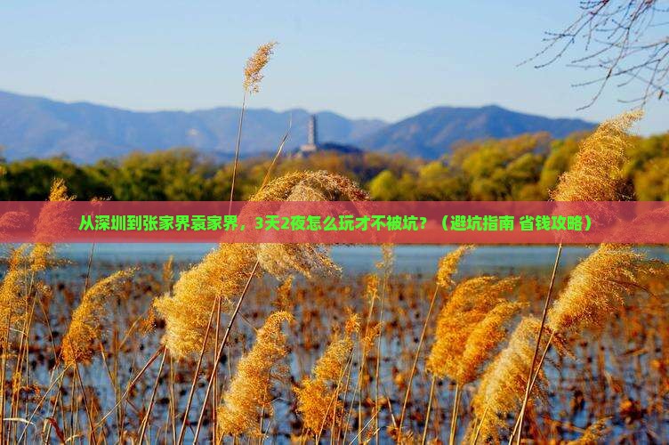 深圳到张家界袁家界旅行社