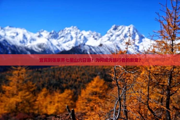 宜宾到张家界七星山六日游