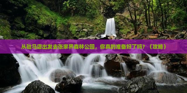 驻马店去张家界森林公园个人游