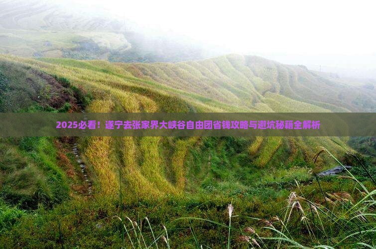 遂宁去张家界大峡谷自由团