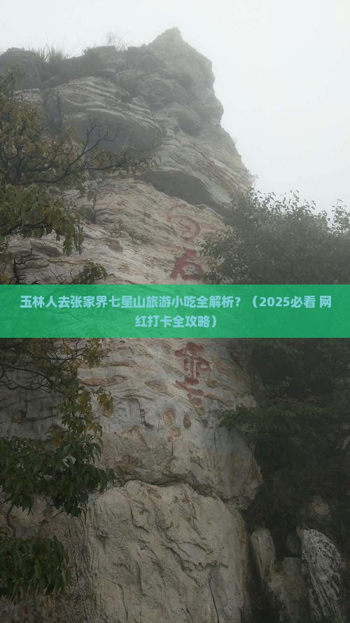 玉林到张家界七星山旅游小吃