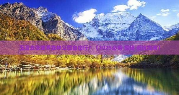 玉溪去张家界森林公园自由行