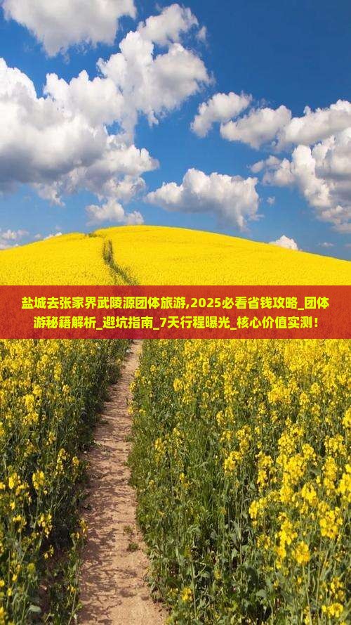 盐城去张家界武陵源团体旅游