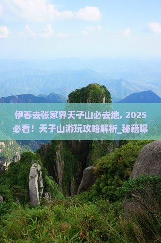 伊春去张家界天子山必去地