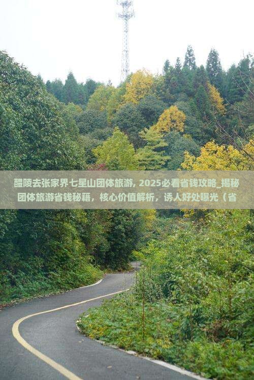 醴陵去张家界七星山团体旅游