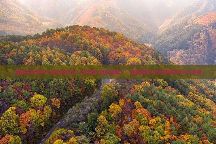曲靖去张家界七星山旅行社