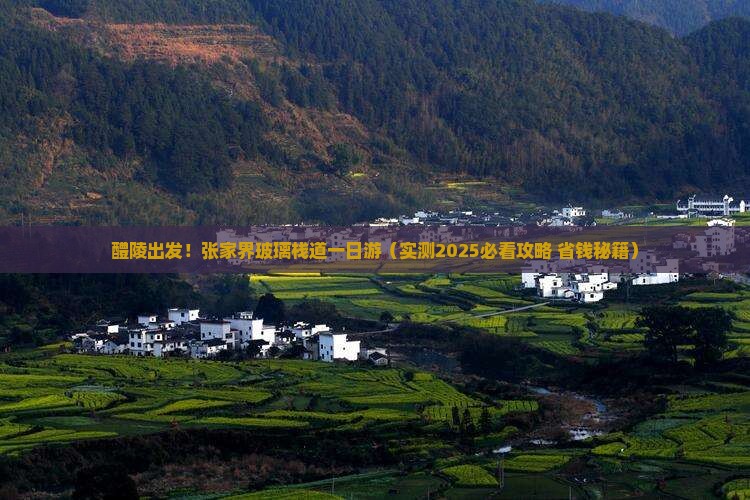 醴陵去张家界玻璃栈道一日