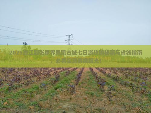 潜江到张家界凤凰古城七日游