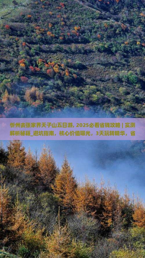 忻州去张家界天子山五日游