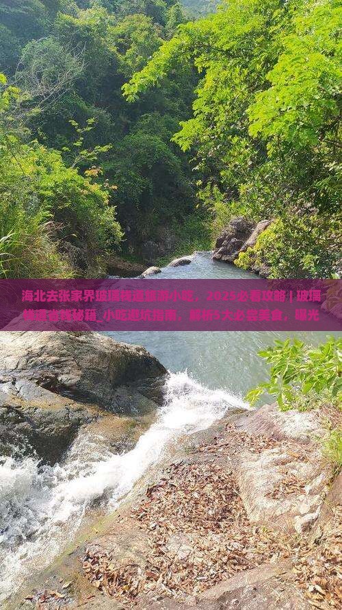 海北去张家界玻璃栈道旅游小吃