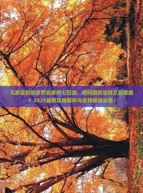 五家渠到张家界袁家界七日游 五家渠到张家界袁家界七日游