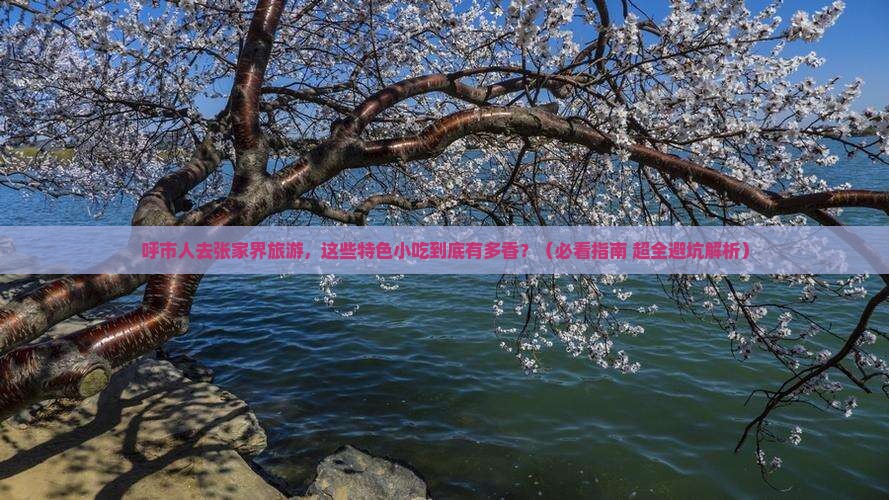 呼和浩特去张家界旅游小吃