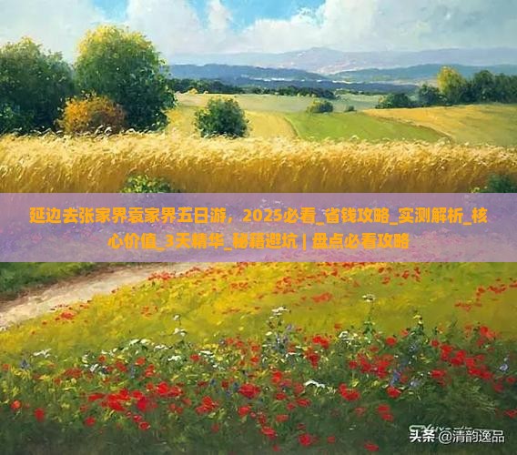 延边去张家界袁家界五日游